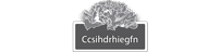 ccsihdrhiegfn.store