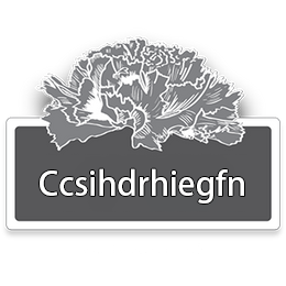 ccsihdrhiegfn.store
